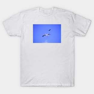 Stork & Raven / Swiss Artwork Photography T-Shirt